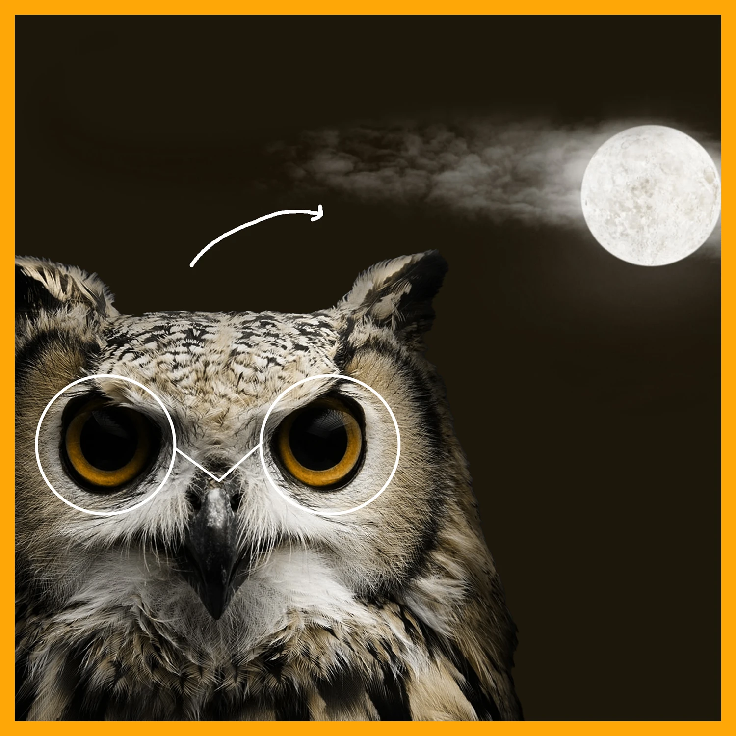Unlocking the Night Owl Creative's Potential: 5 Ways to Stay Productive and Unleash Your Creativity After Dark
